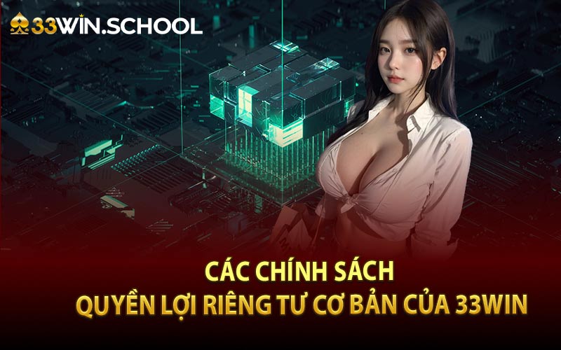 Các chính sách quyền lợi riêng tư cơ bản của 33WIN