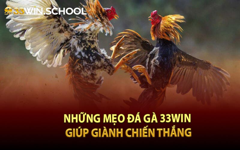 Những mẹo đá gà 33Win giúp giành chiến thắng